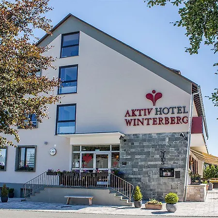 酒店 Aktiv 温特贝格