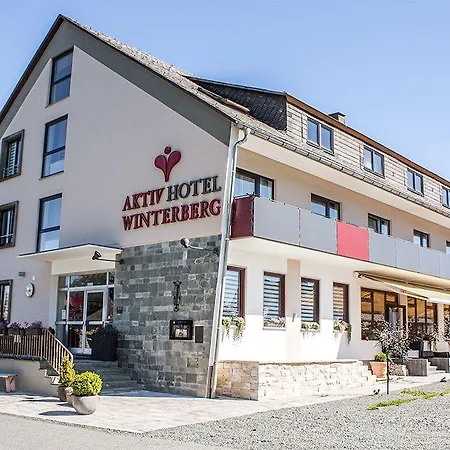 Aktiv وينتربرغ